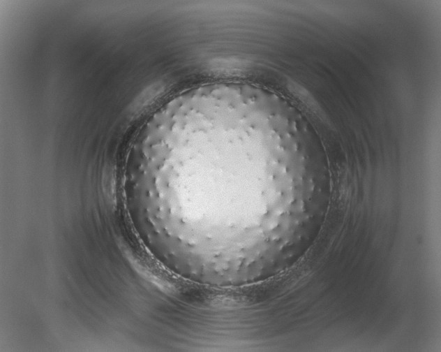 X0000081270494200701181721
