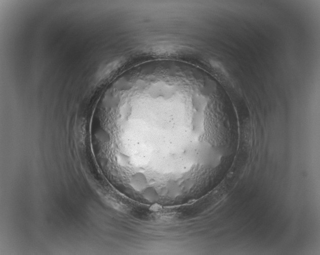X0000081270495200701181721