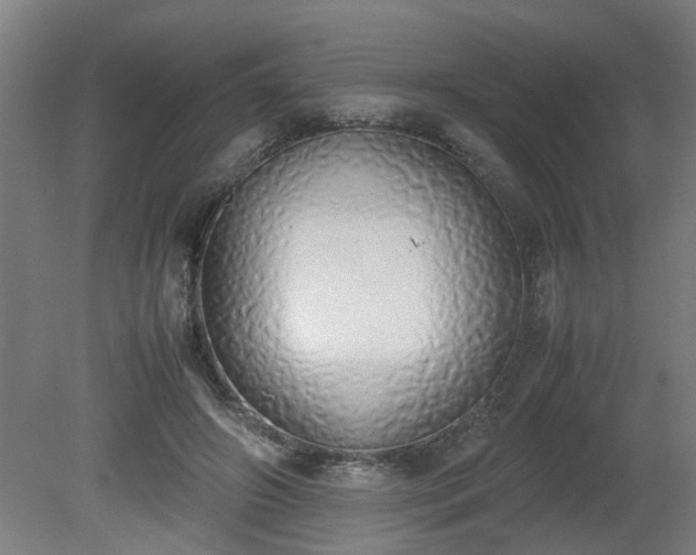 X0000081270498200701181720
