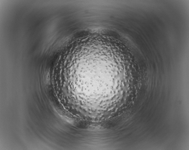 X0000081270502200701181720