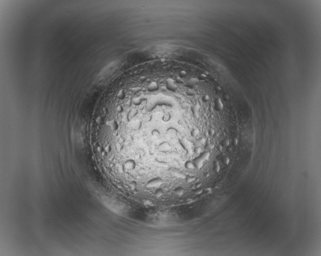 X0000081270503200701181720