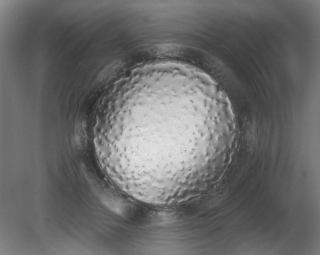 X0000081270506200701181720
