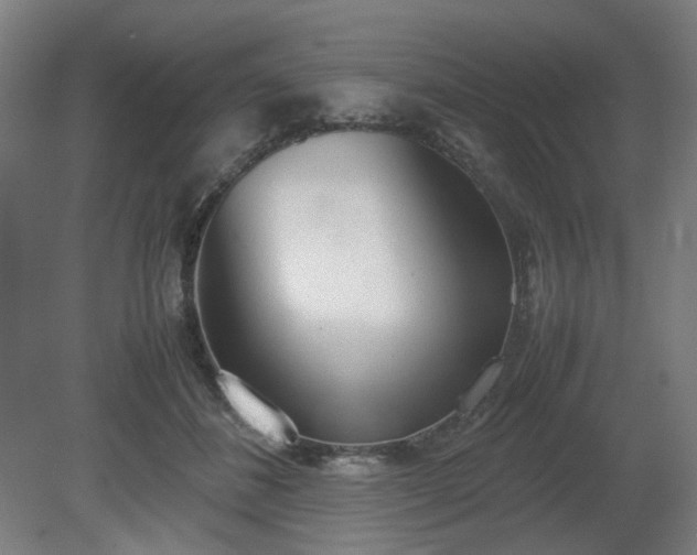 X0000081270508200701181720