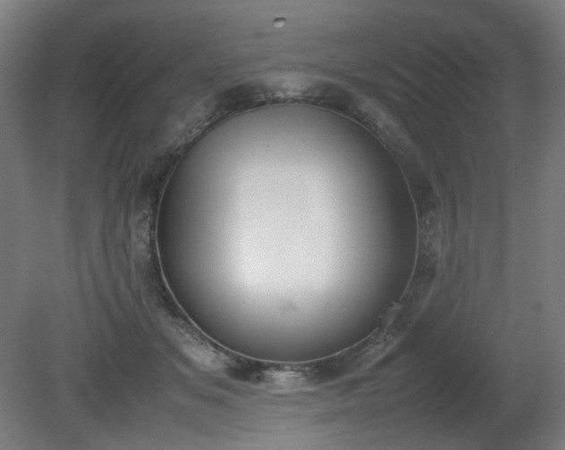 X0000081270509200701181720