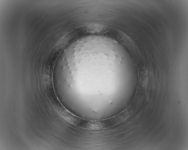 X0000081270510200701181720