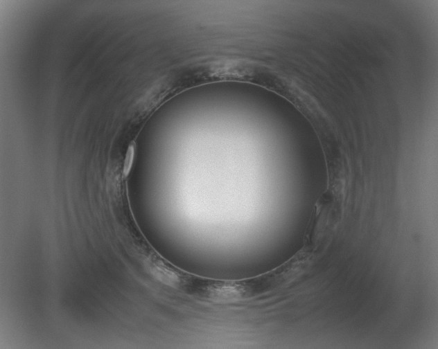 X0000081270513200701181720