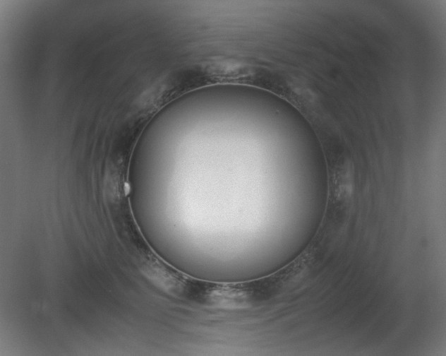 X0000081270515200701181720