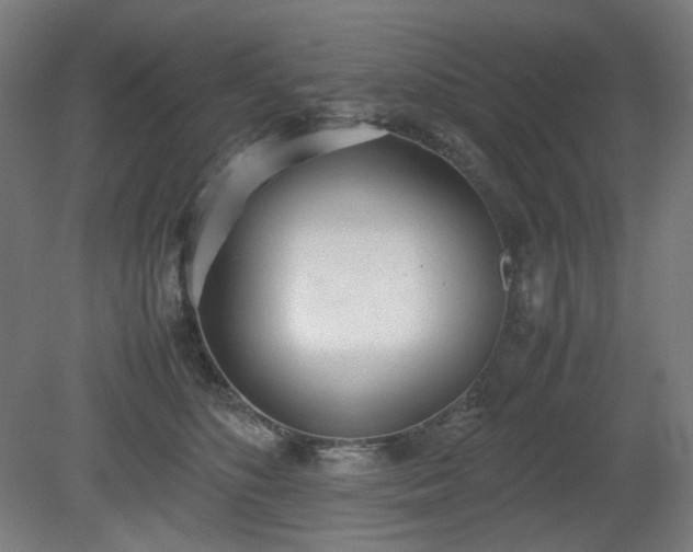 X0000081270516200701181720