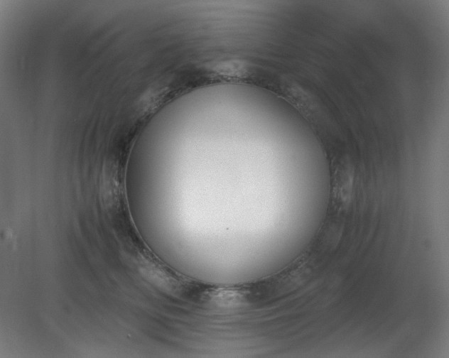 X0000081270518200701181720