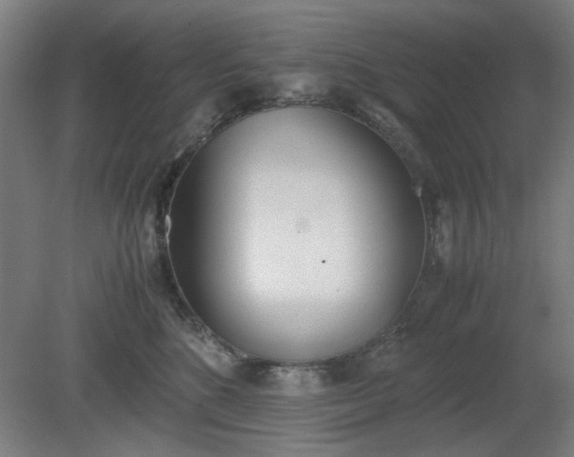 X0000081270520200701181720