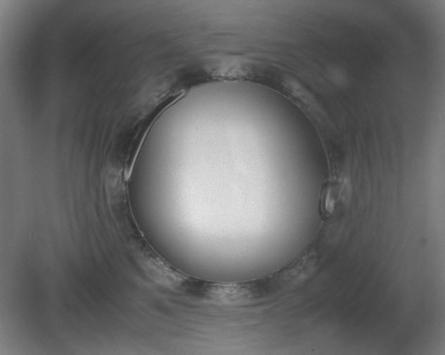 X0000081270521200701181720
