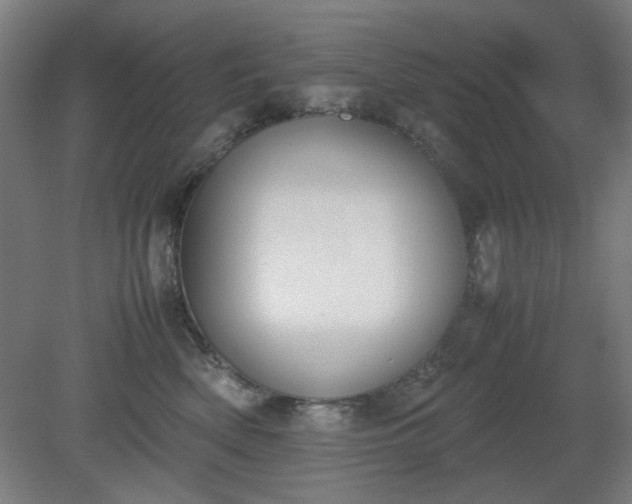 X0000081270522200701181720