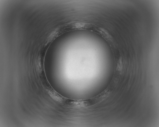 X0000081270524200701181720