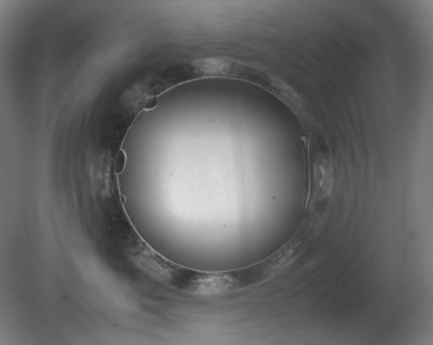 X0000081270525200701181720