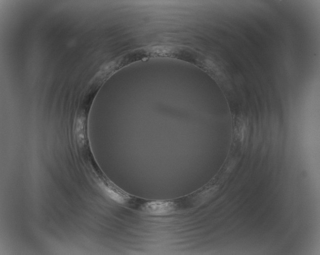 X0000081270526200701181720