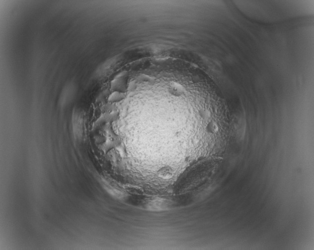 X0000081270527200701181720