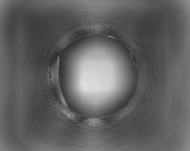 X0000081270528200701181720
