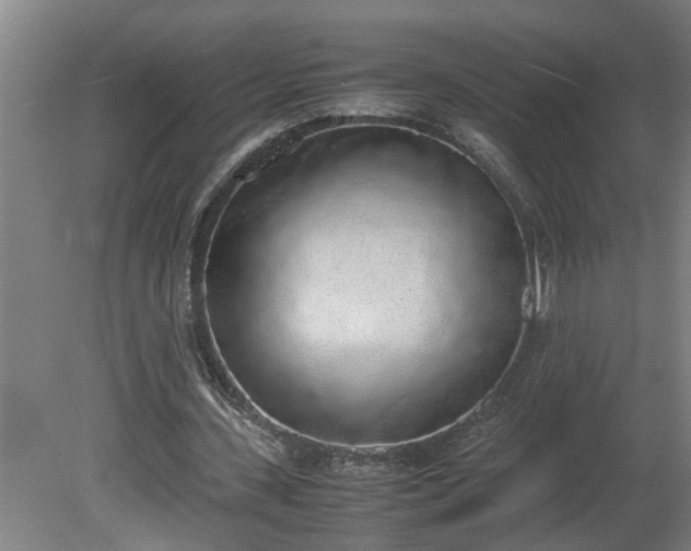 X0000081270531200701181719