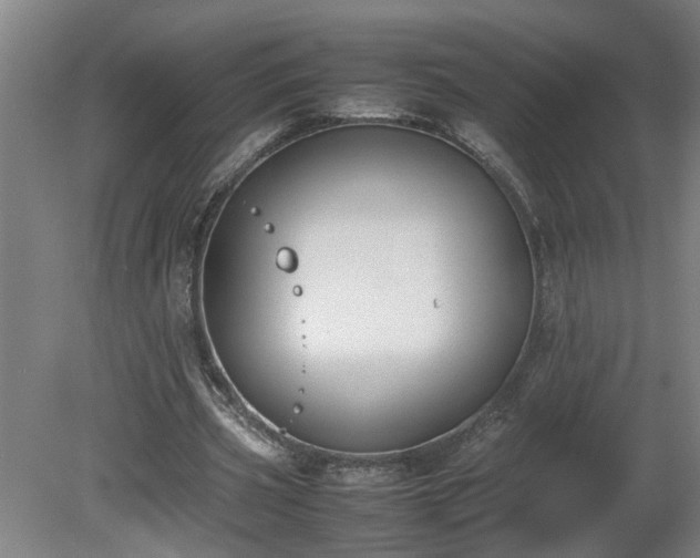 X0000081270533200701181719