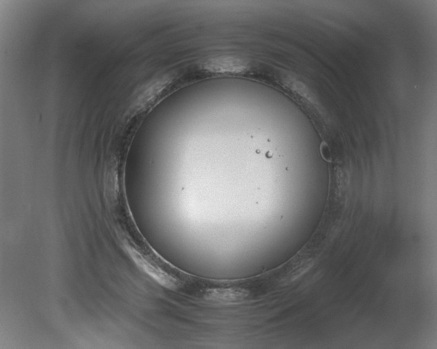 X0000081270541200701181719