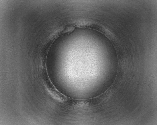 X0000081270546200701181719