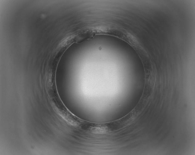 X0000081270548200701181719