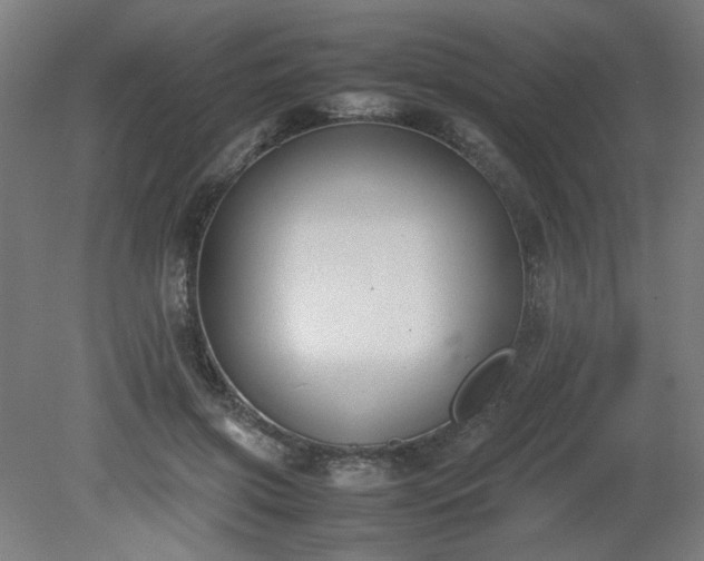 X0000081270549200701181719