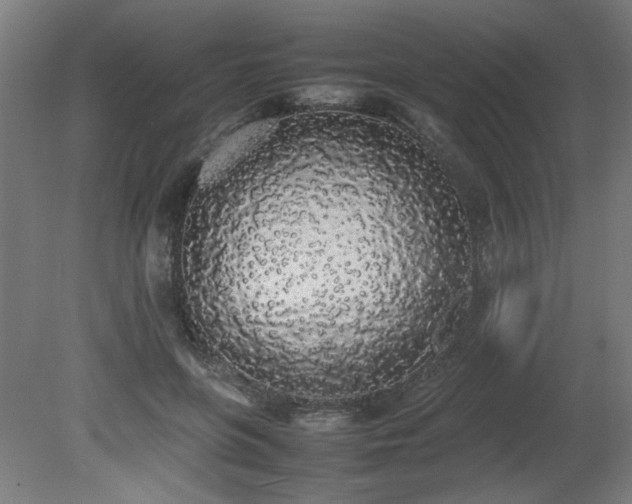 X0000081270551200701181720