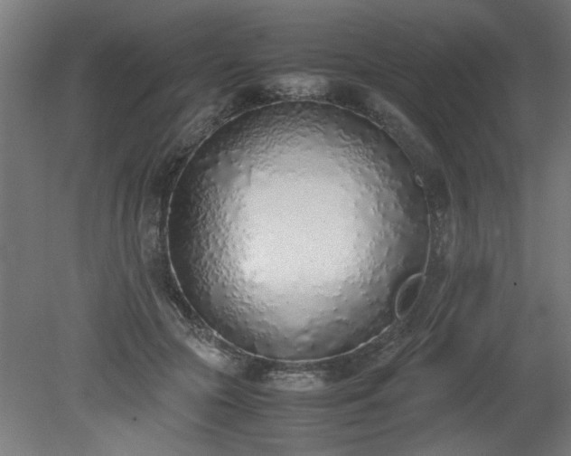 X0000081270553200701181720