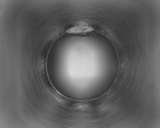 X0000081270555200701181720