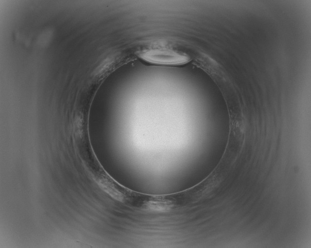 X0000081270556200701181720