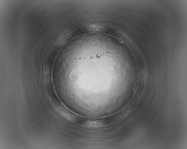 X0000081270557200701181720