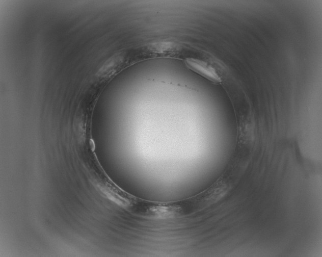 X0000081270558200701181720