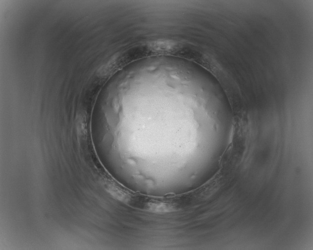 X0000081270561200701181720
