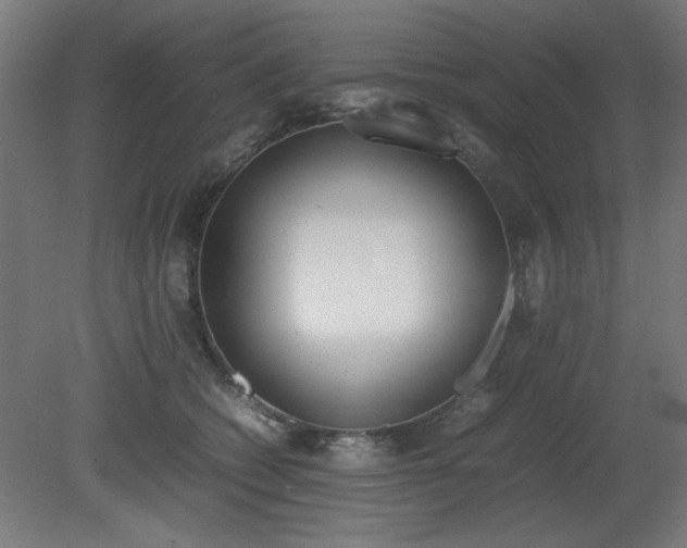 X0000081270562200701181720
