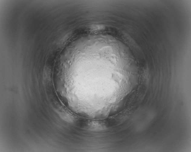 X0000081270565200701181720