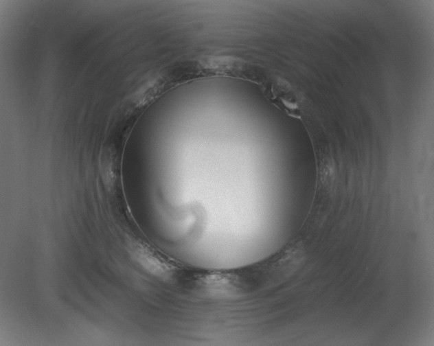 X0000081270566200701181720
