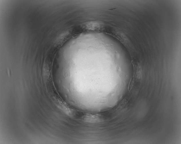 X0000081270569200701181720