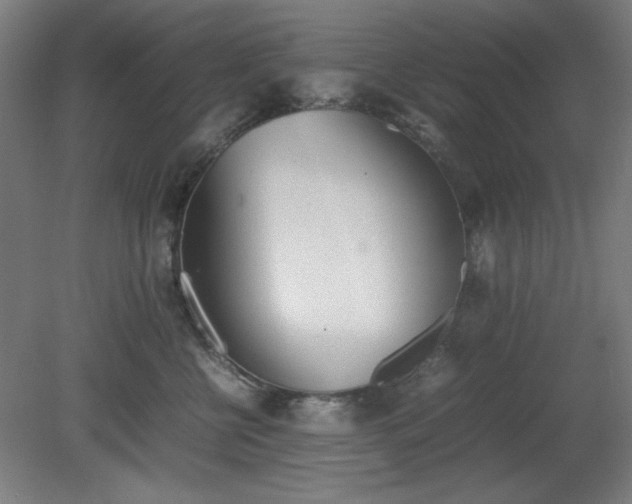 X0000081270570200701181720