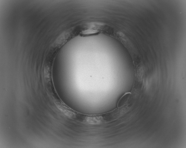 X0000081270571200701181720