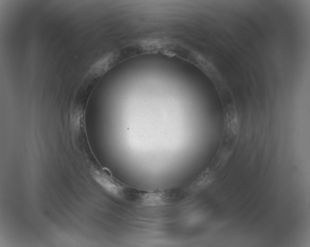 X0000081270574200701181720