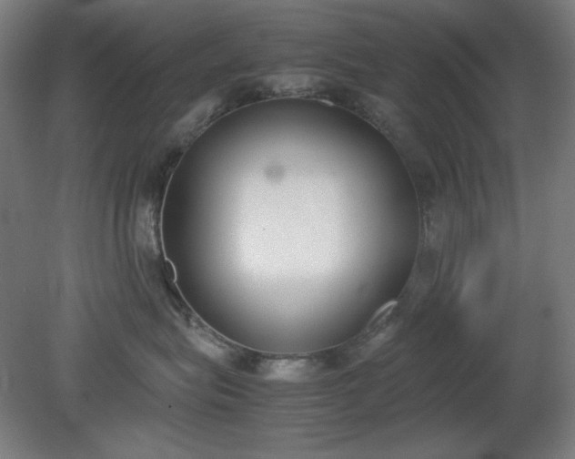 X0000081270575200701181720