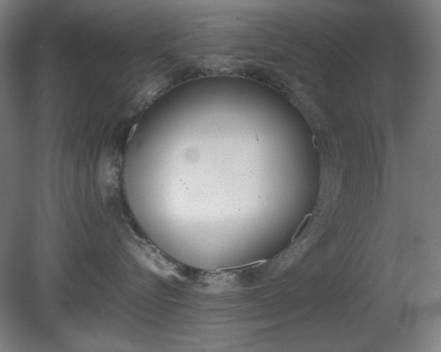 X0000081270576200701181720