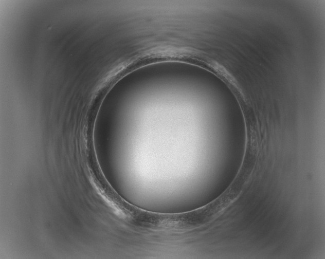 X0000081270581200701181719