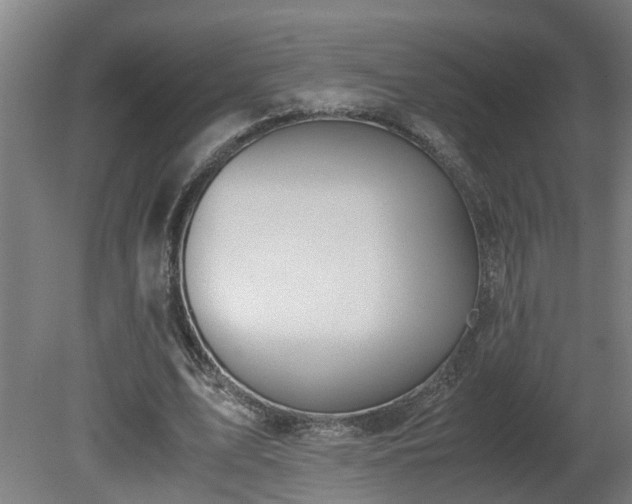 X0000081270583200701181719