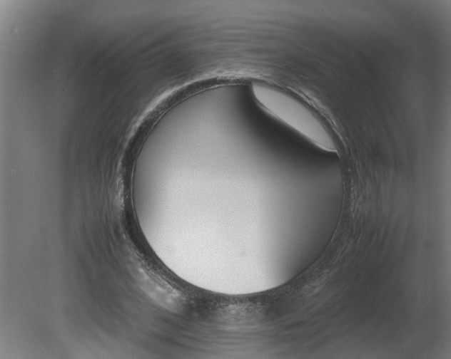 X0000081270584200701181719