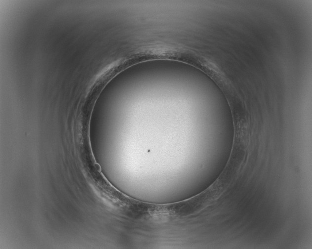 X0000081270587200701181719