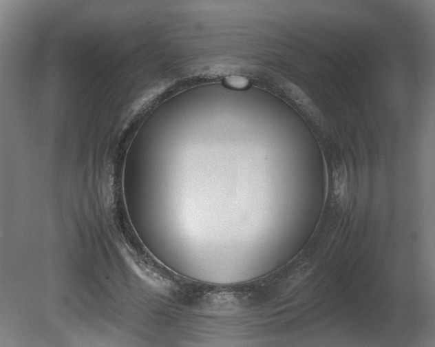 X0000081270588200701181719