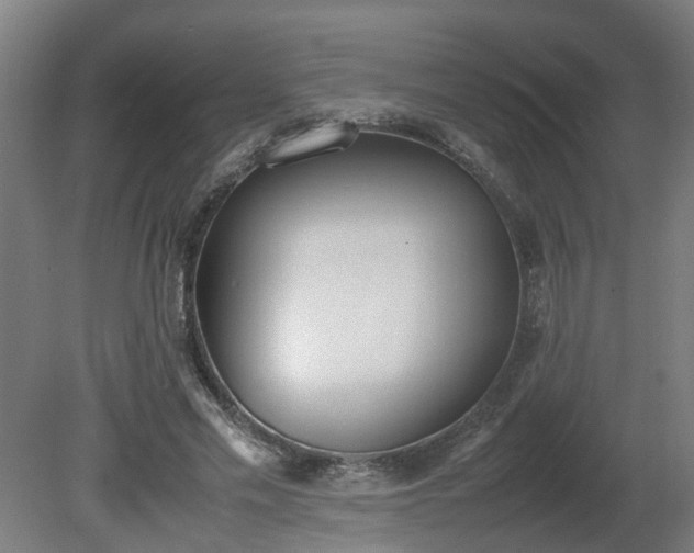 X0000081270589200701181719
