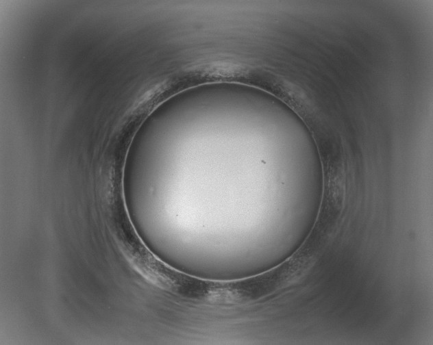 X0000081270591200701181719